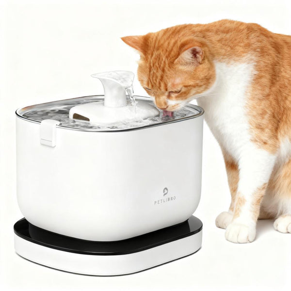 Cordless Cat Fountain 2.5L/84oz, Battery-Operated, Quiet, Stainless Base, White